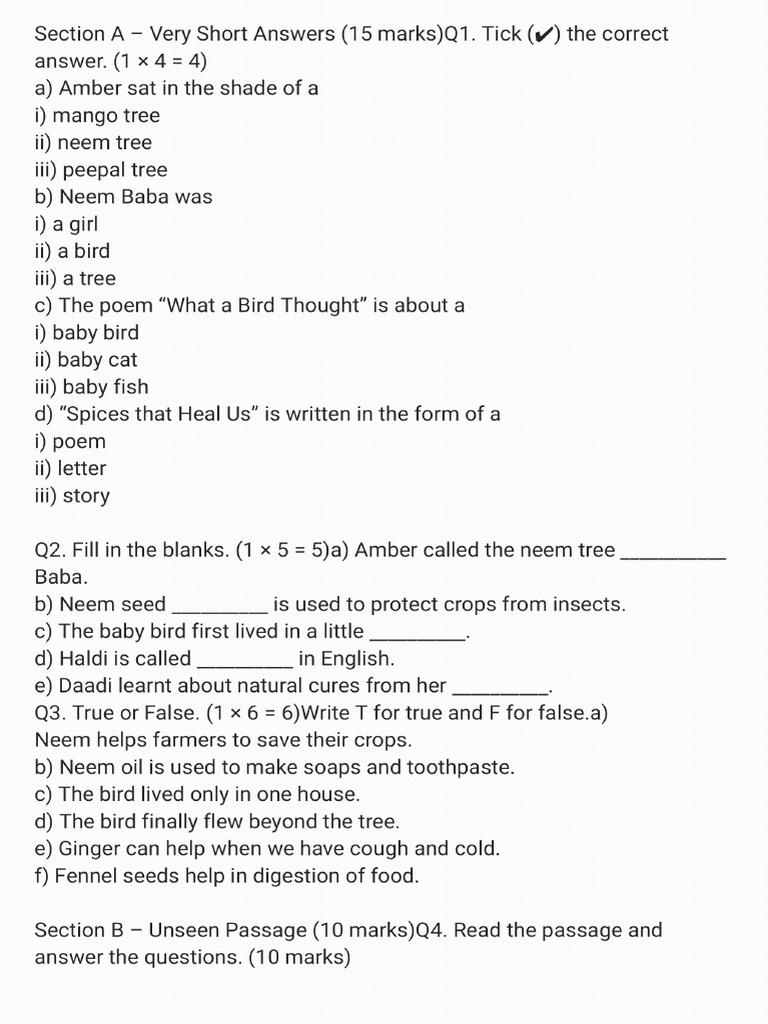 Revised Question Paper Class 6 | PDF
