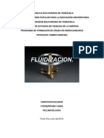 Fluidizacion