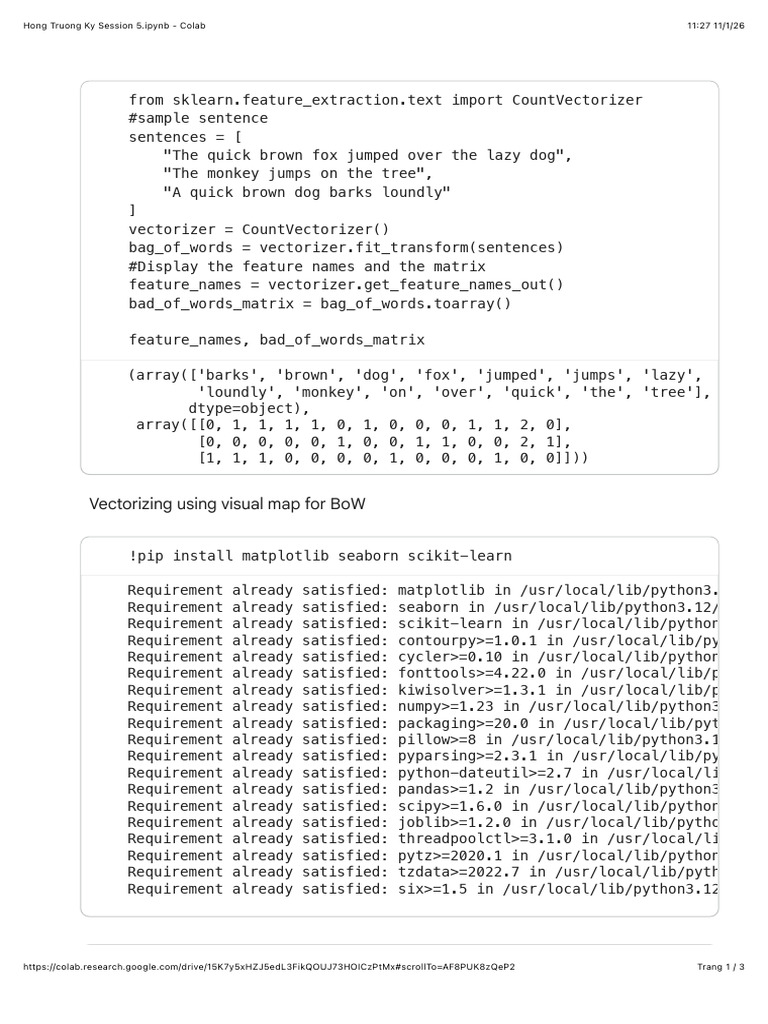 Bag of Words Matrix Visualization | PDF
