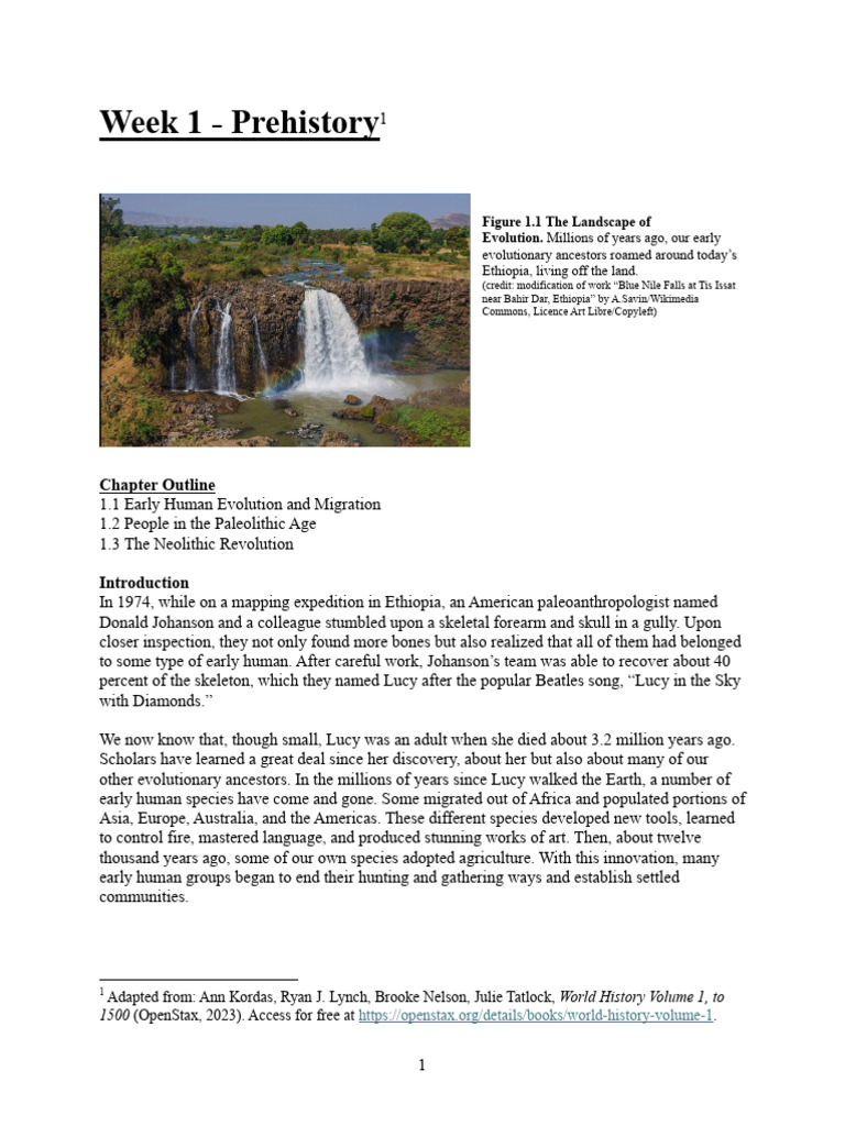 Early Human Evolution and Migration | PDF | Homo | Human