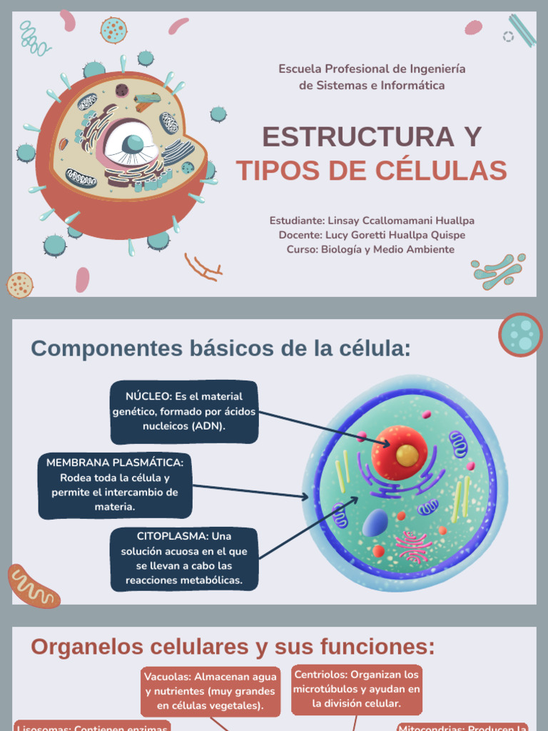 Copia de Biology Subject For High School - Eukaryotic Cell by Slidesgo ...
