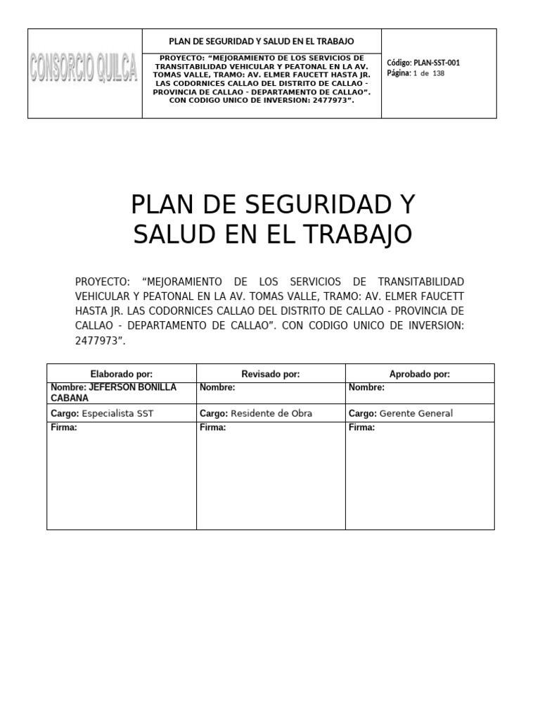 Plan de Seguridad y Salud en el Trabajo | PDF | Seguro | Valores