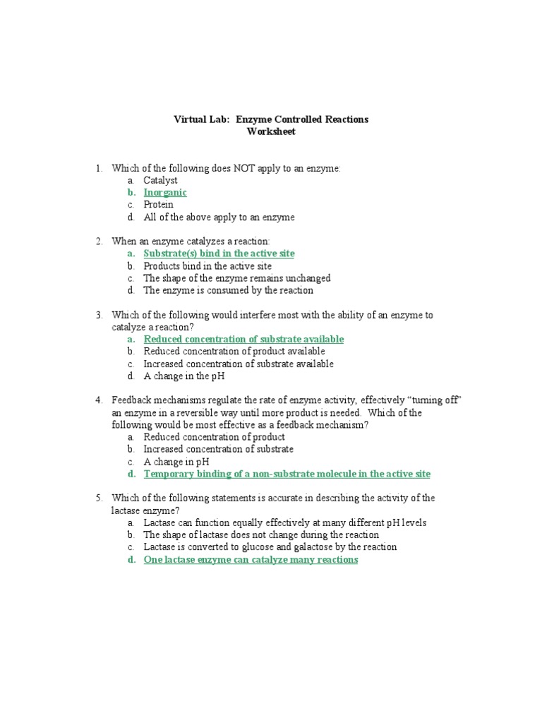 Richard Kilgo Enzyme Controlled Reactions Worksheet  Product Pertaining To Enzyme Reactions Worksheet Answer Key