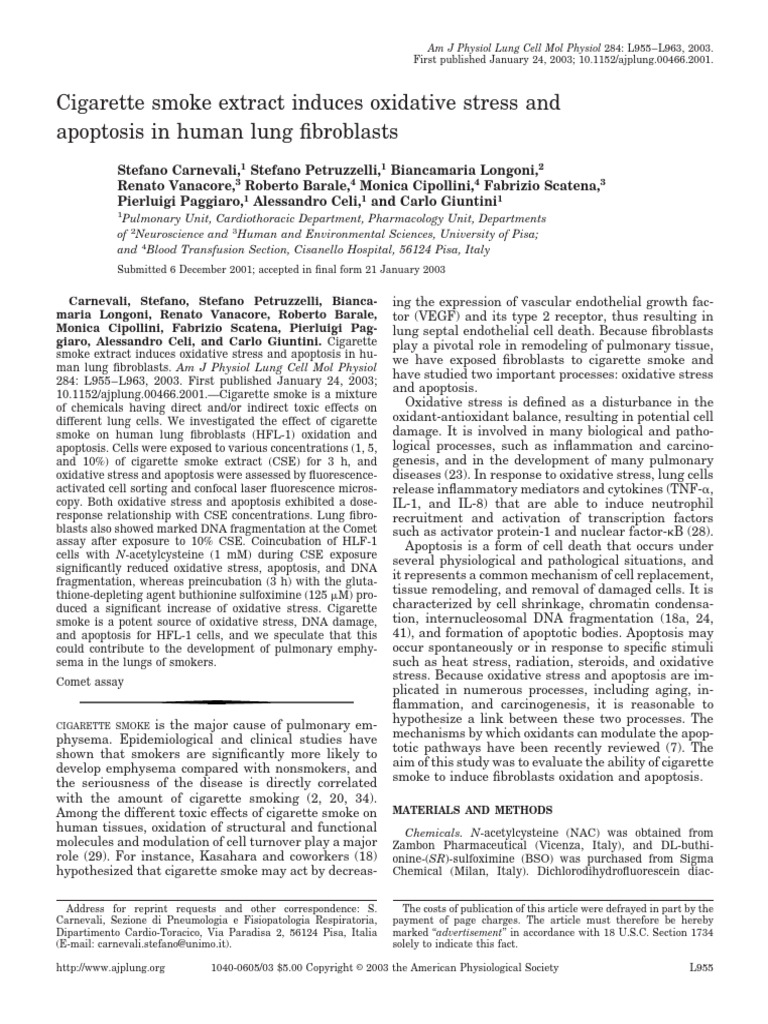 Cigarette Smoke Extract Induces Oxidative Stress and Apoptosis in Human ...