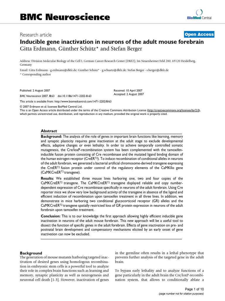 Inducible Gene Inactivation in Mouse Neurons | PDF | Hippocampus ...