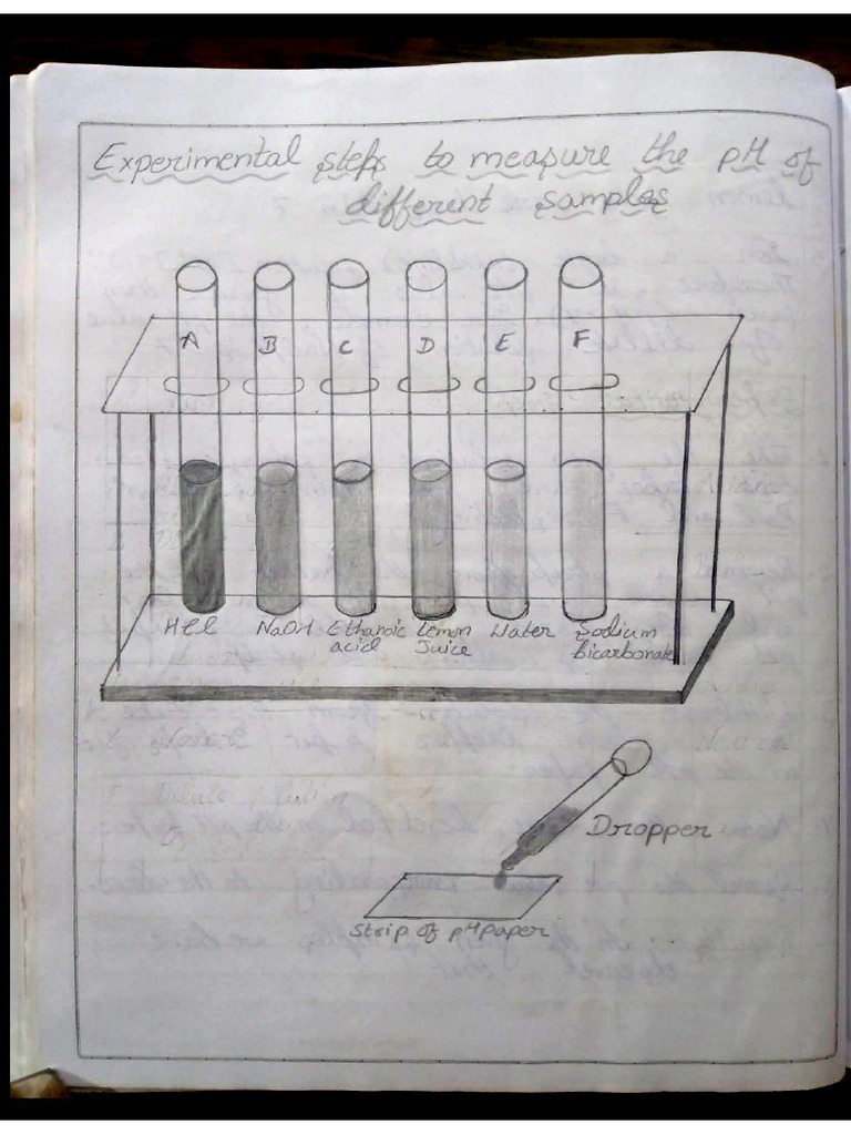 Sample Images (Science Record) | PDF