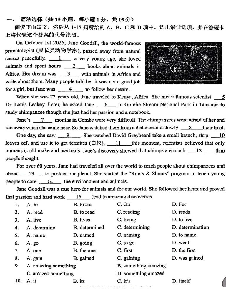 Test Paper | PDF