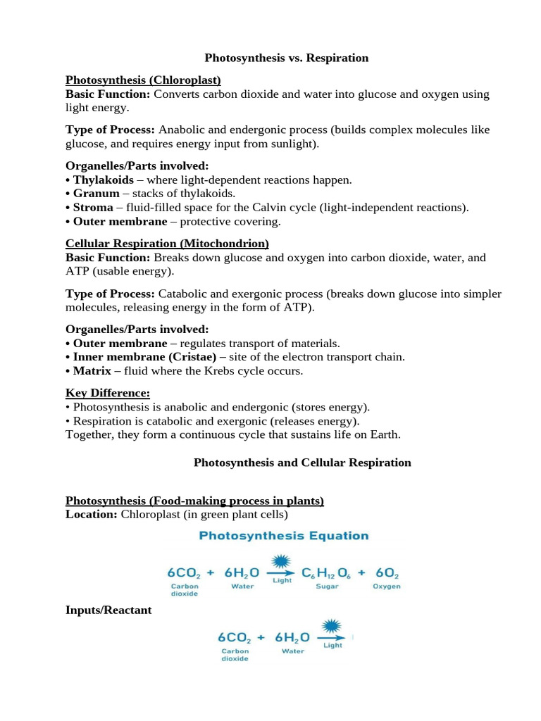 Photosynthesis Versus Respiration FINAL | PDF | Cellular Respiration ...
