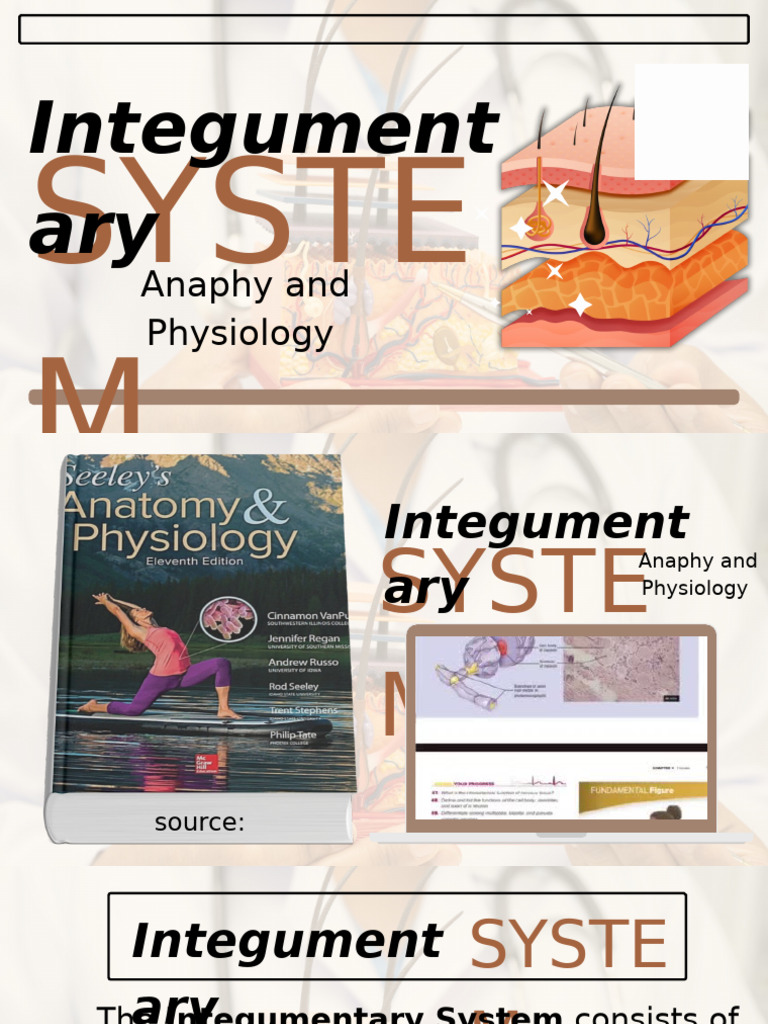 Integumentary System Overview and Functions | PDF | Skin | Epidermis