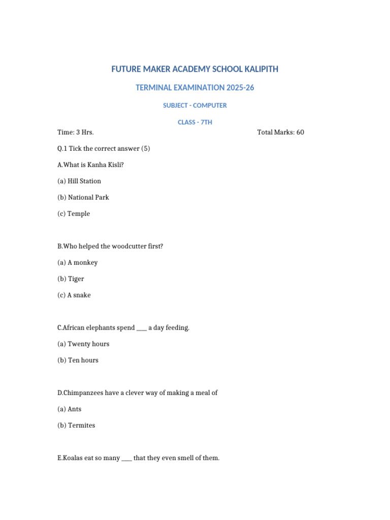 Computer Test Class7 Paperrrr | PDF