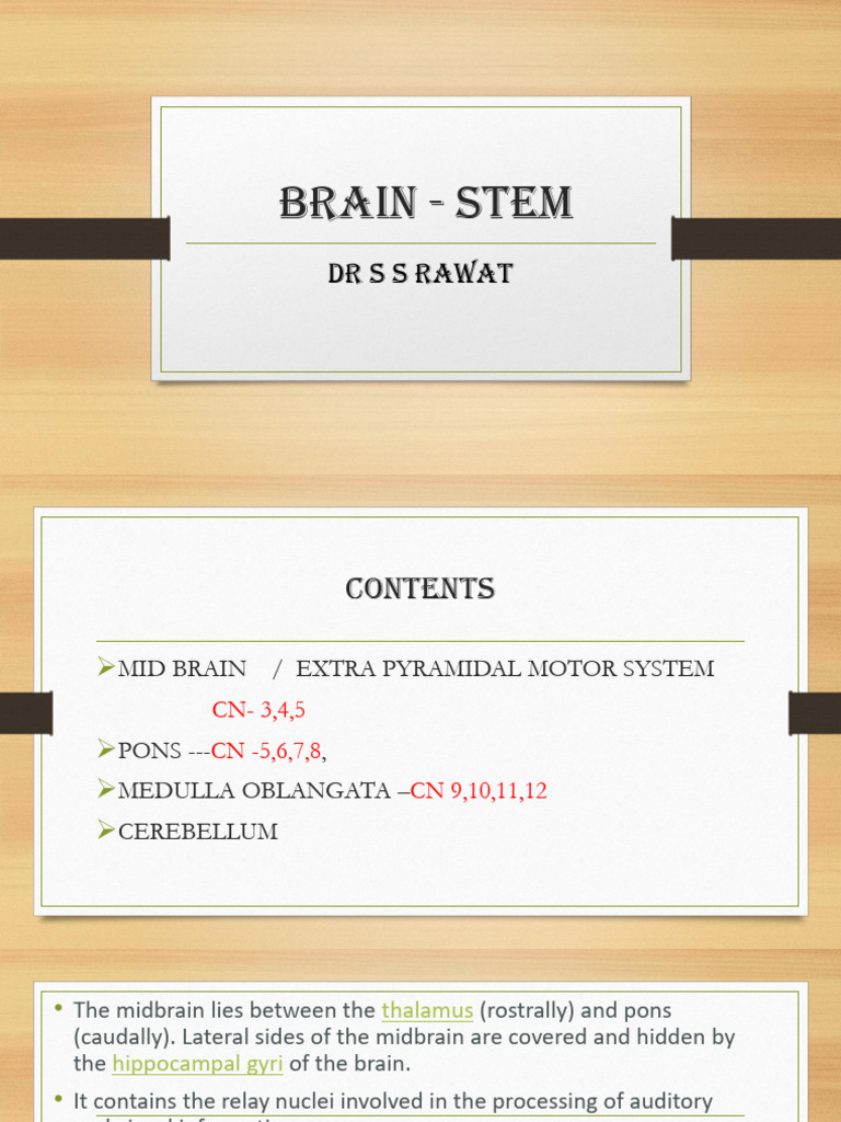 Midbrain Anatomy and Functions Overview | PDF | Cerebellum | Brainstem