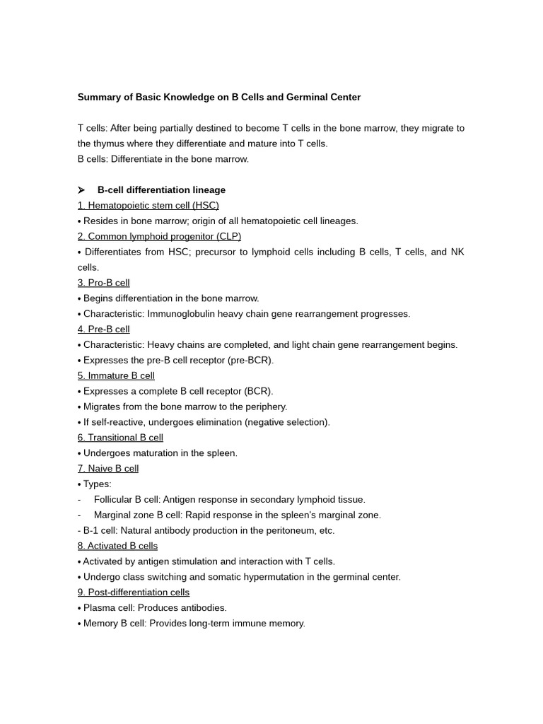 Summary of B Cells and Germinal Center | PDF | B Cell | Circulatory System