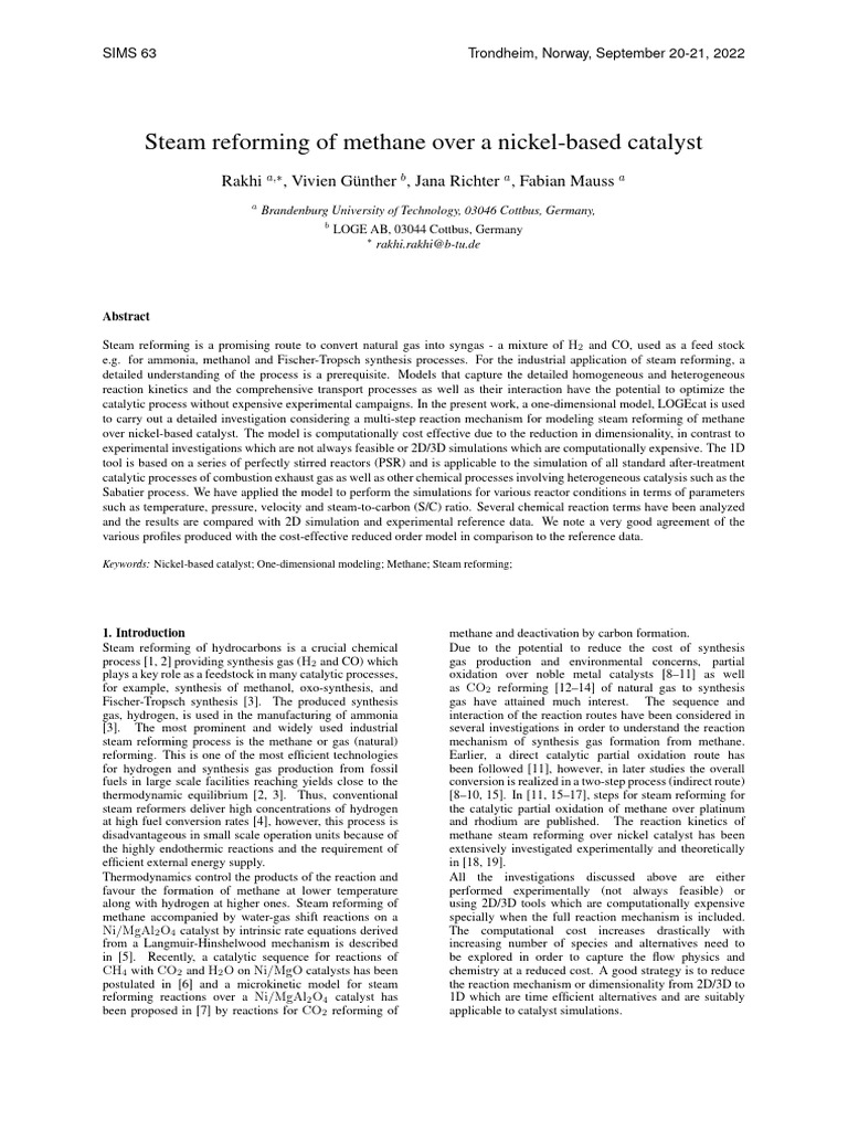 Methane Steam Reforming Modeling | PDF | Catalysis | Diffusion