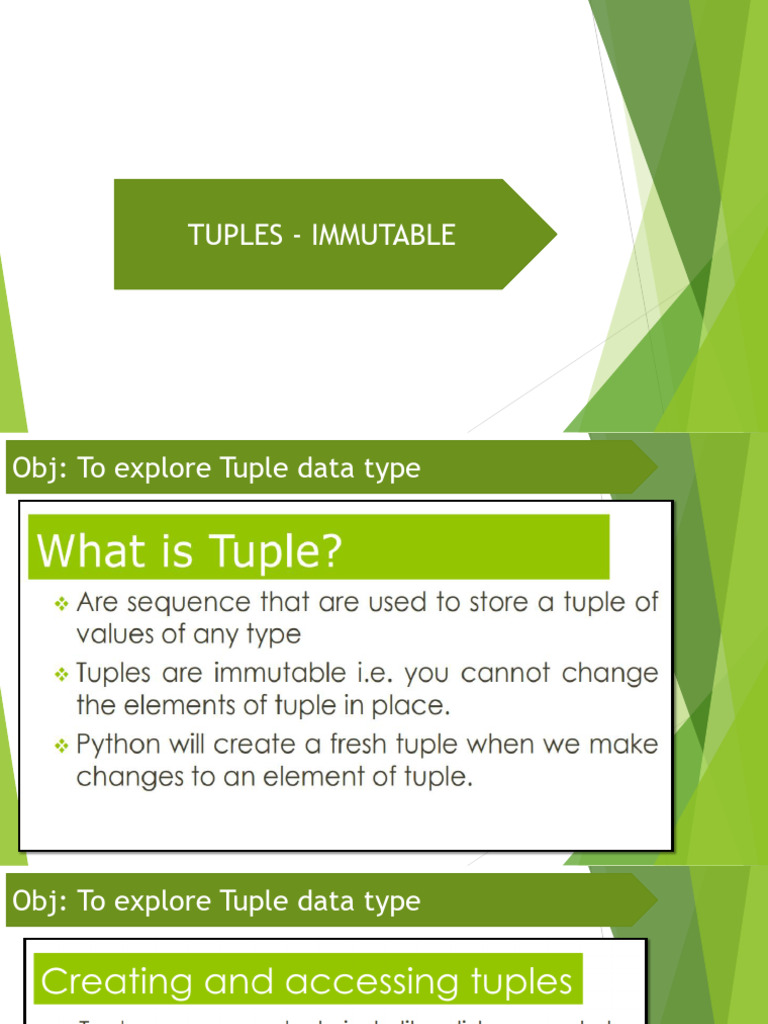 Understanding Immutable Tuples | PDF