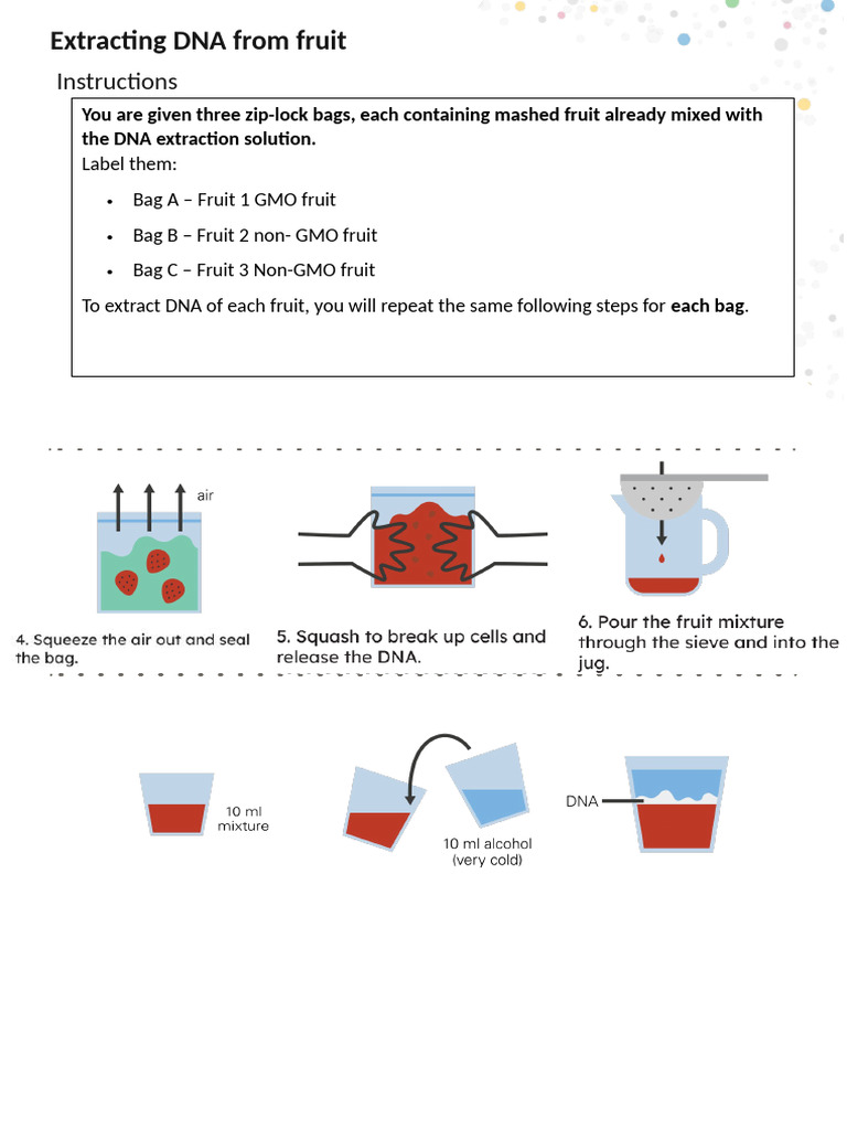 G9 DNA Extraction 2 | PDF