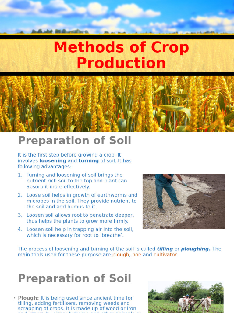 Essential Crop Production Techniques | PDF | Soil | Irrigation