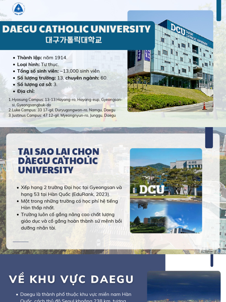 Daegu Catholic University | PDF