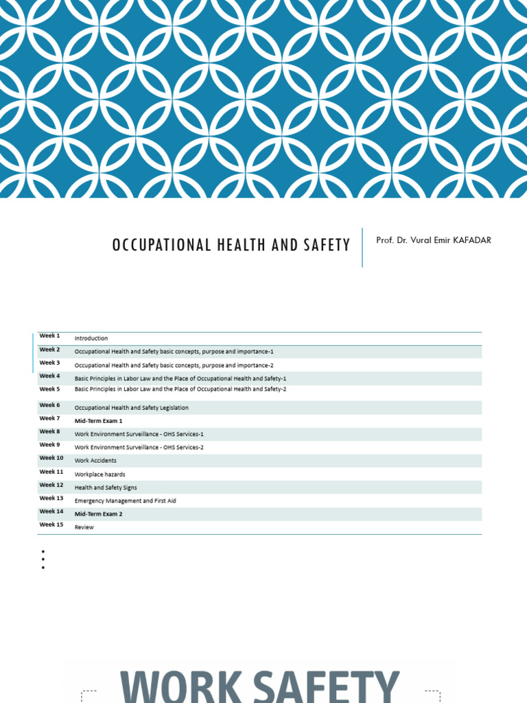 Occupational Health and Safety Overview | PDF | Occupational Safety And ...