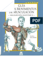 Guia de Movimientos de Musculacion