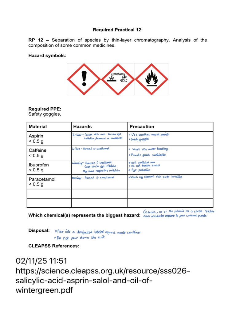 Harry Pang RP12 Risk Assessment | PDF