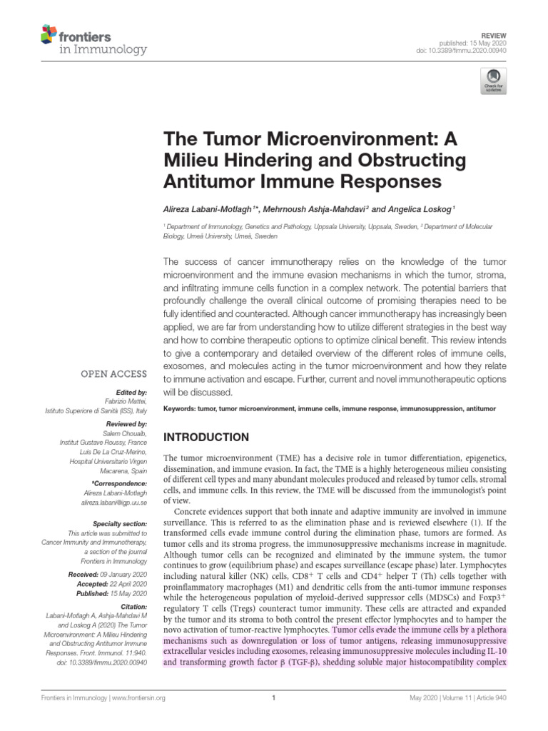 Tumor Microenvironment and Immune Evasion | PDF | Natural Killer Cell ...