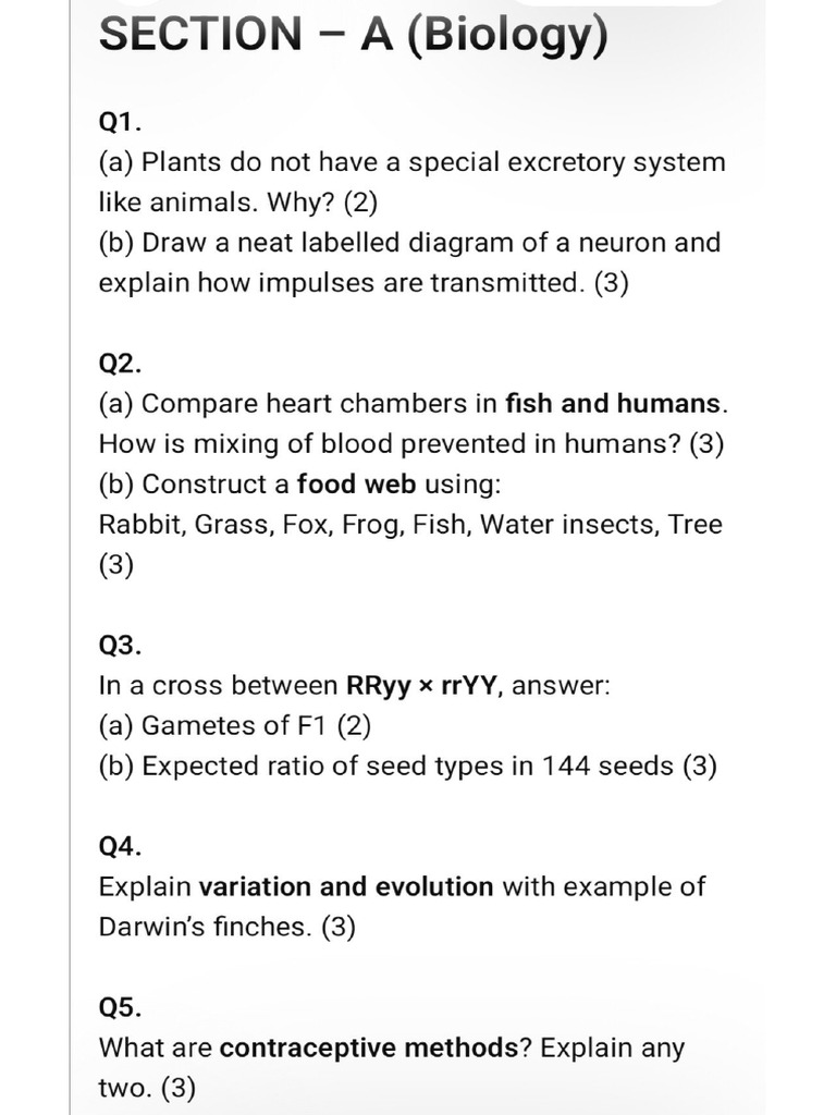 Science | PDF