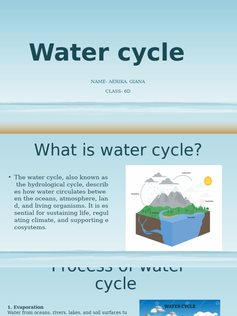 Understanding the Water Cycle | PDF