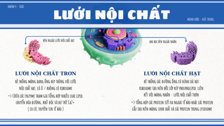 Minh Chau, Duc Trong 10A1 | PDF