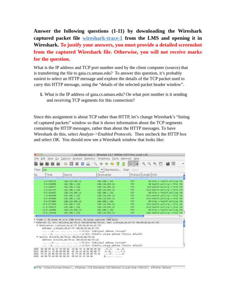 Wireshark TCP Analysis Assignment Guide | PDF | Transmission Control ...