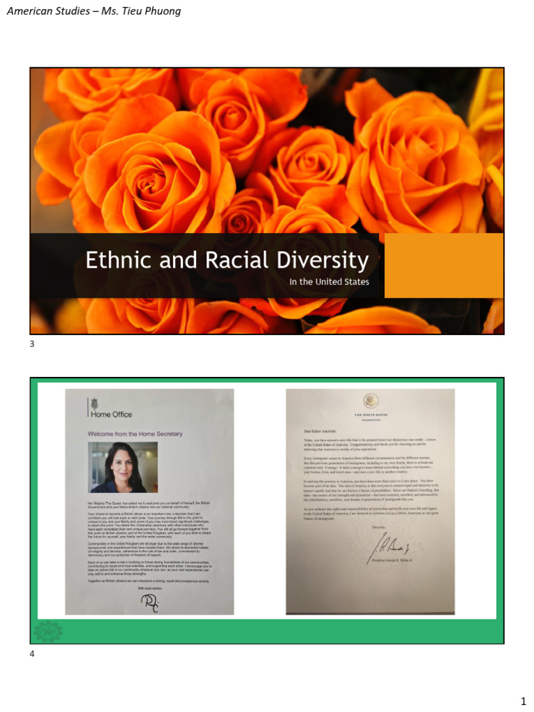 Ethnic Diversity and Immigration in America | PDF | Immigration ...