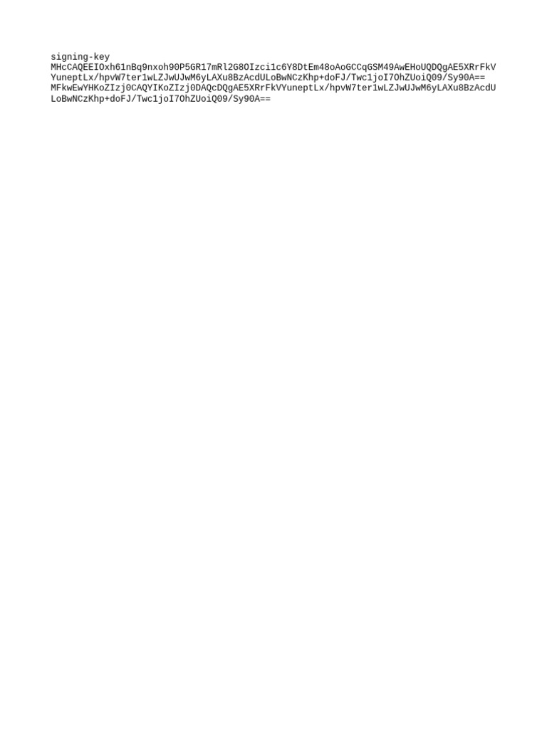 Security Keys | PDF