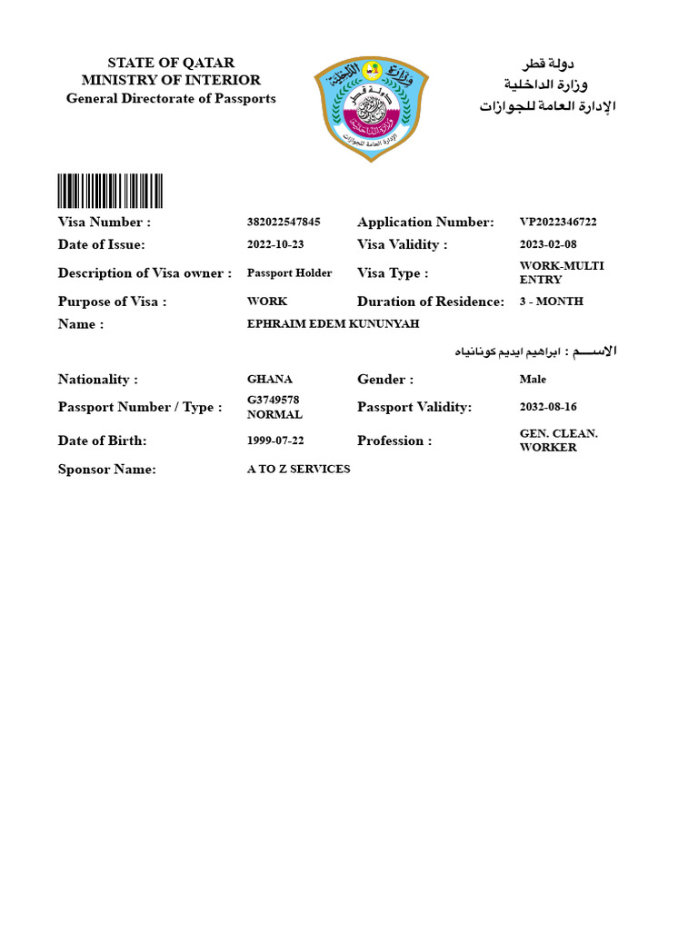 Print Visa | PDF