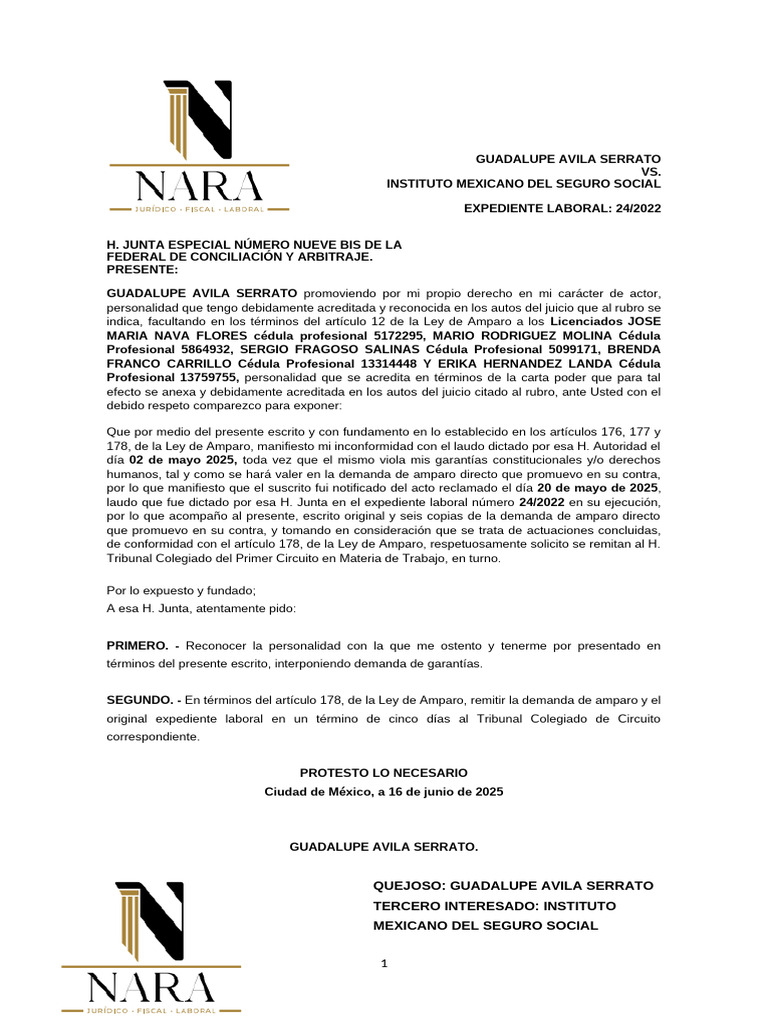 Amparo Directo | PDF | Caso de ley | Demanda judicial