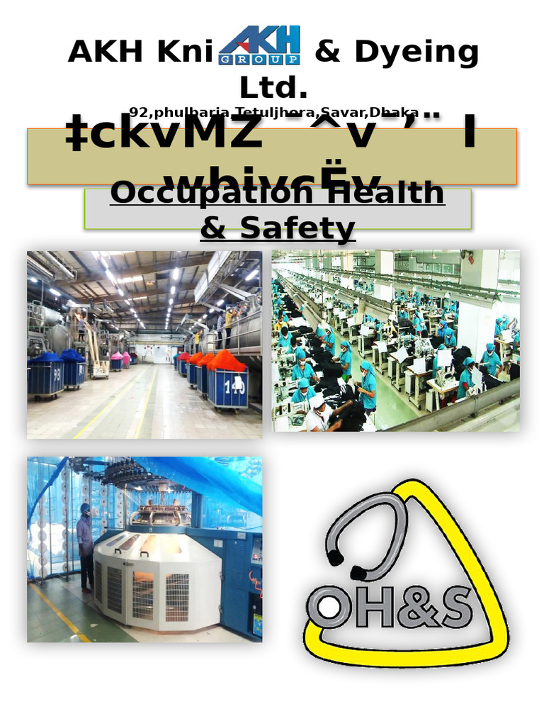 Occupational Health & Safety Guide | PDF