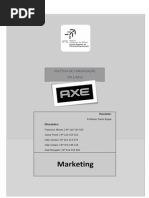 Relatório Final AXE