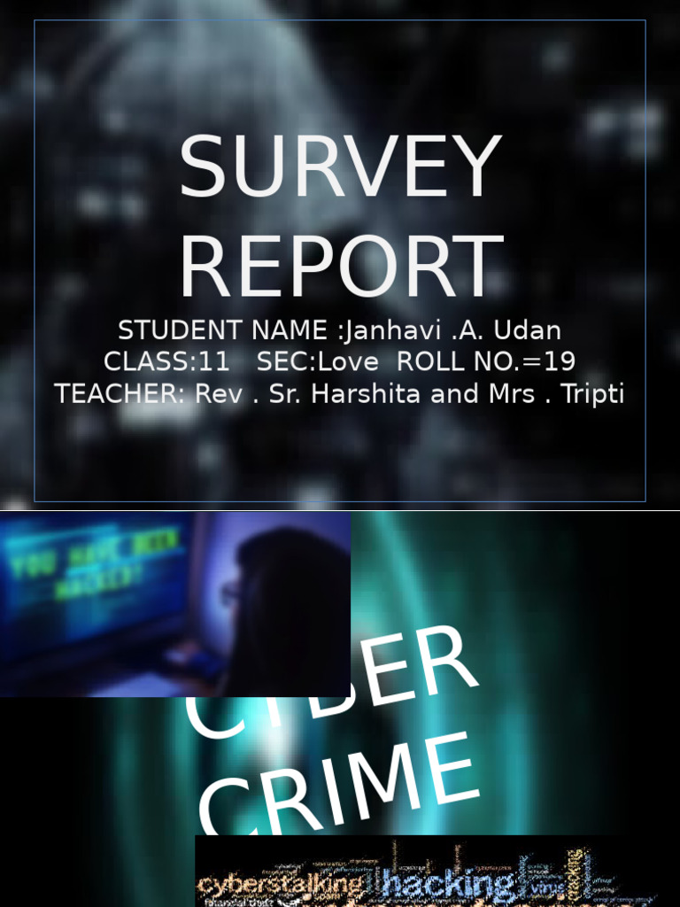 Sample Survey Report | PDF | Security | Computer Security
