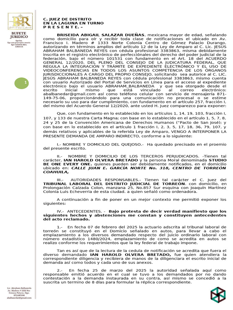Amparo Brisa | PDF | Caso de ley | Demanda judicial