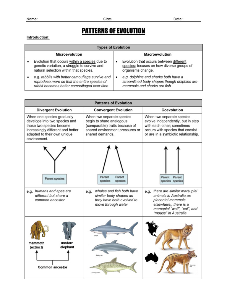 Evolution%2BPractice%2Bwith%2Bconstructed%2Bresponse+%281%29 | PDF ...