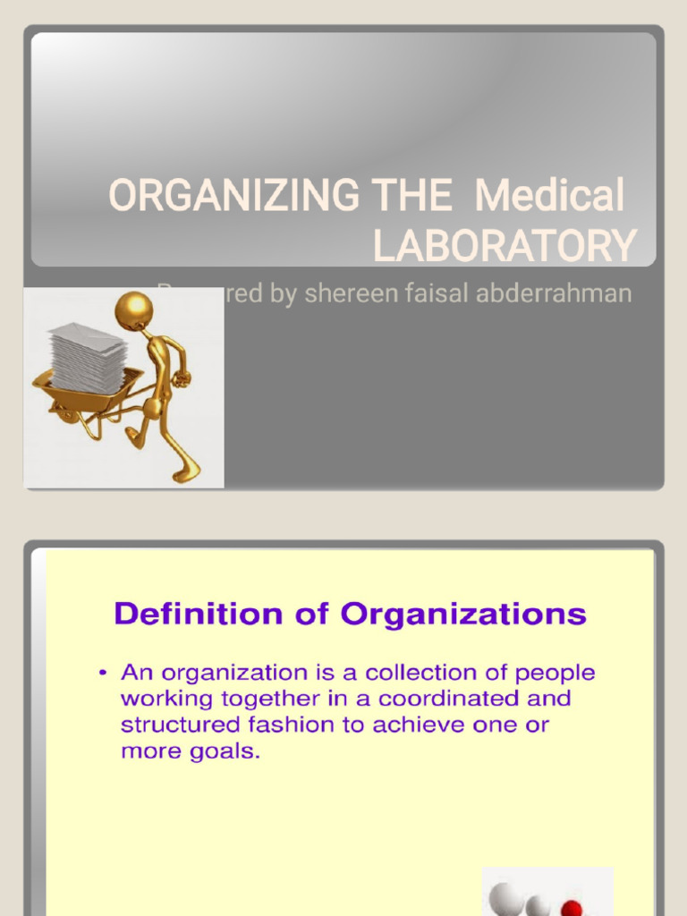 Organization of Medical Lab | PDF