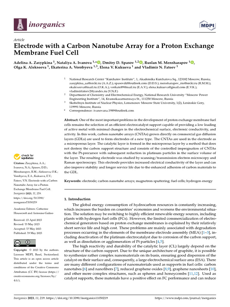 Electrode with a Carbon Nanotube Array for a Proton | PDF | Carbon ...