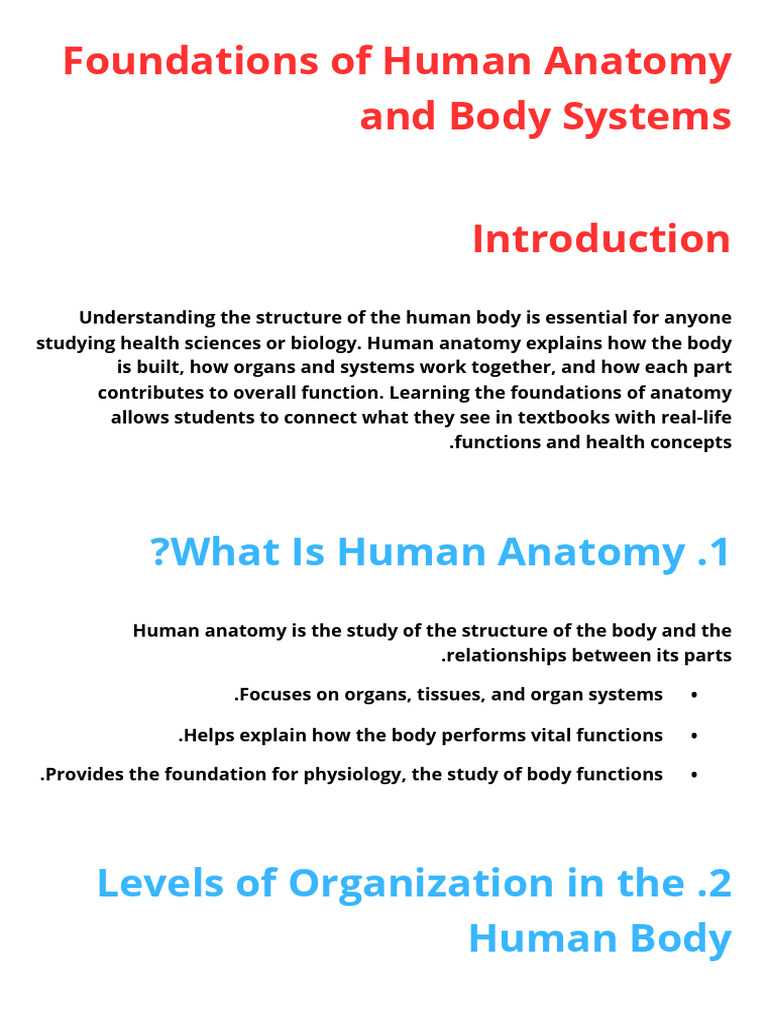 Foundations of Human Anatomy and Body Systems 24 | PDF | Human Body ...