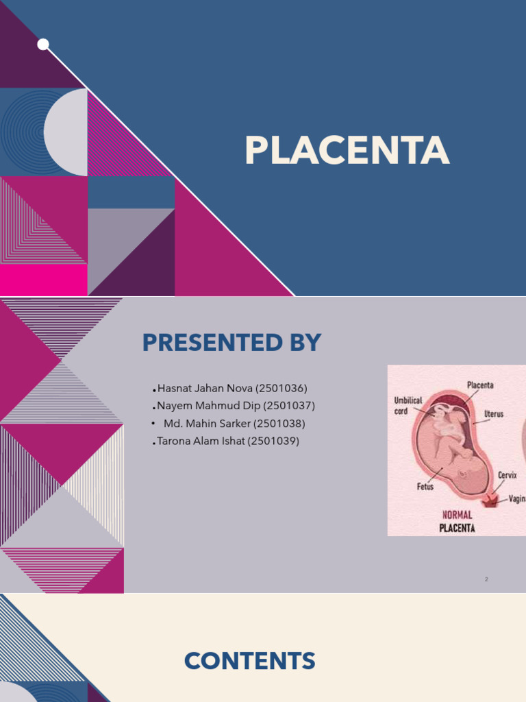 Placenta | PDF | Placenta | Anatomy