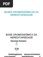basecromossômica