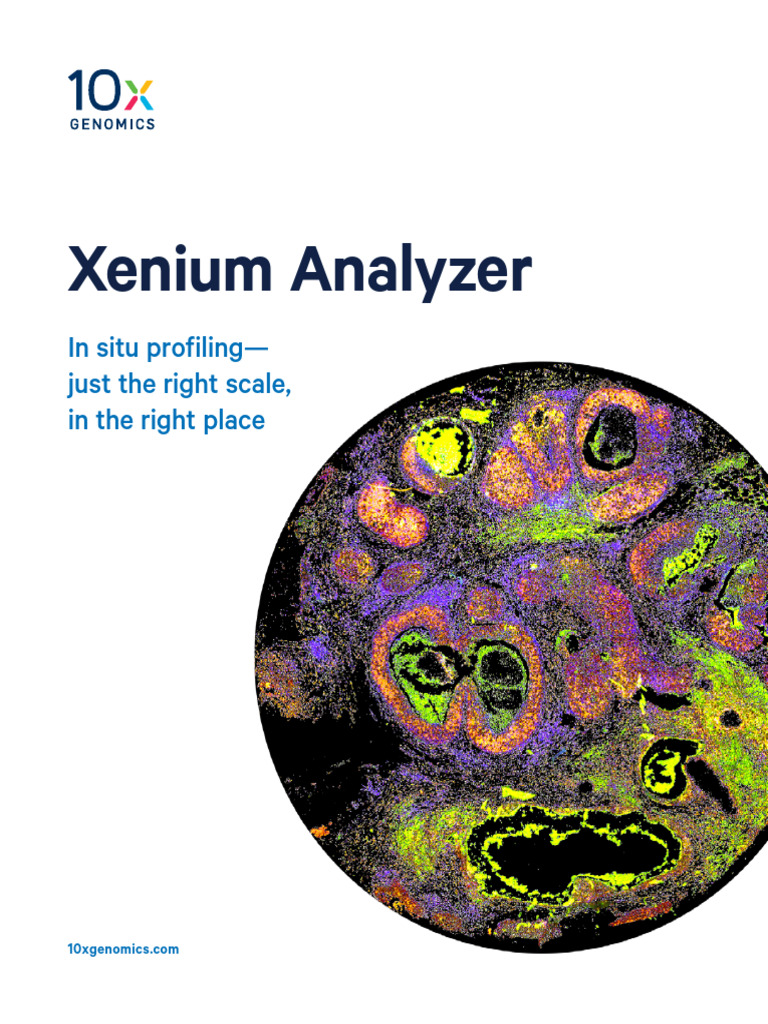 Xenium Analyzer: In Situ Gene Profiling | PDF | Fluorescence In Situ ...
