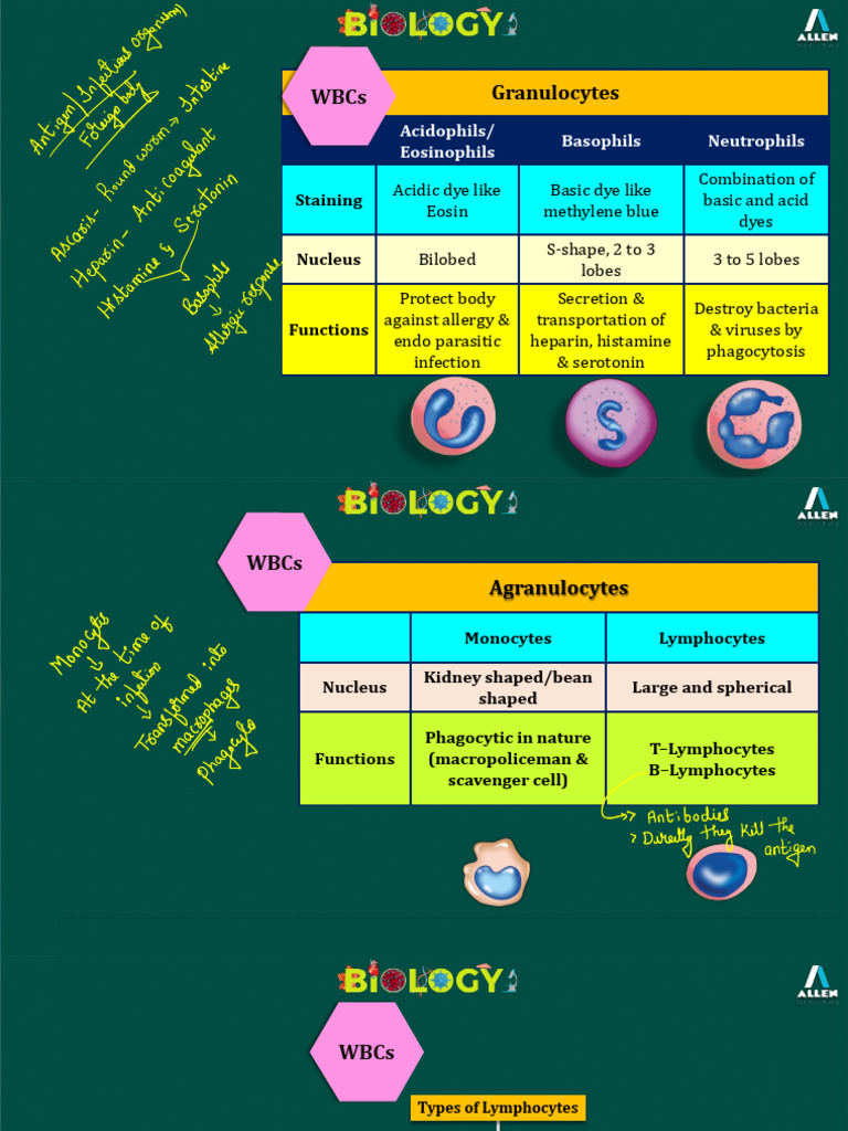 05. Blood Platelets | PDF | Blood Type | White Blood Cell
