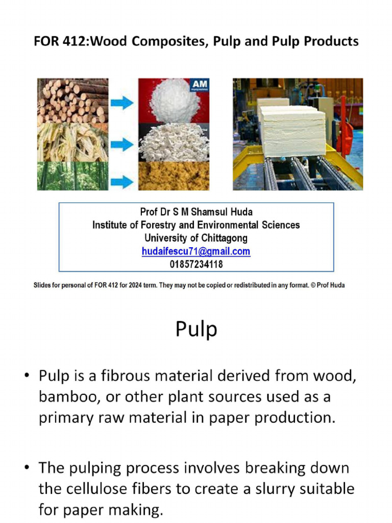 Pulp and Pulp - Products | PDF