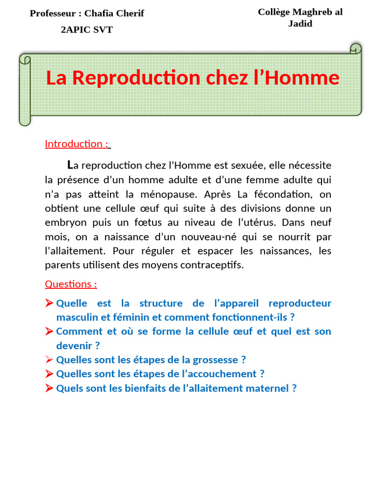 La Reproduction Humaine : Processus et Étapes | PDF | Système ...