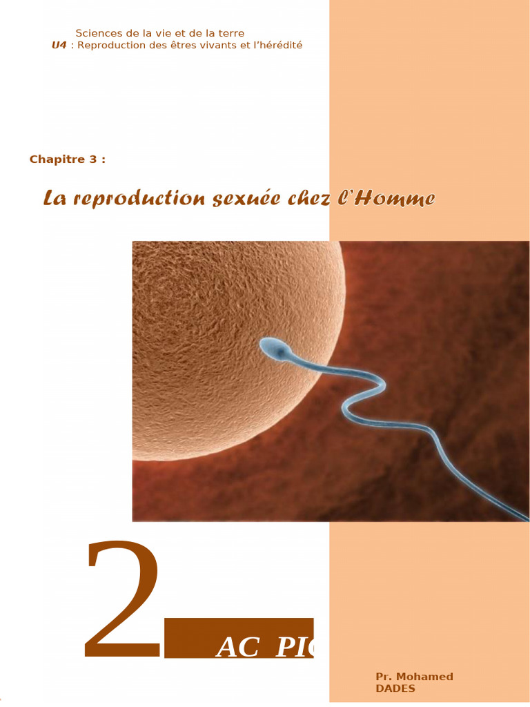 Reproduction Humaine Ouahmane | PDF