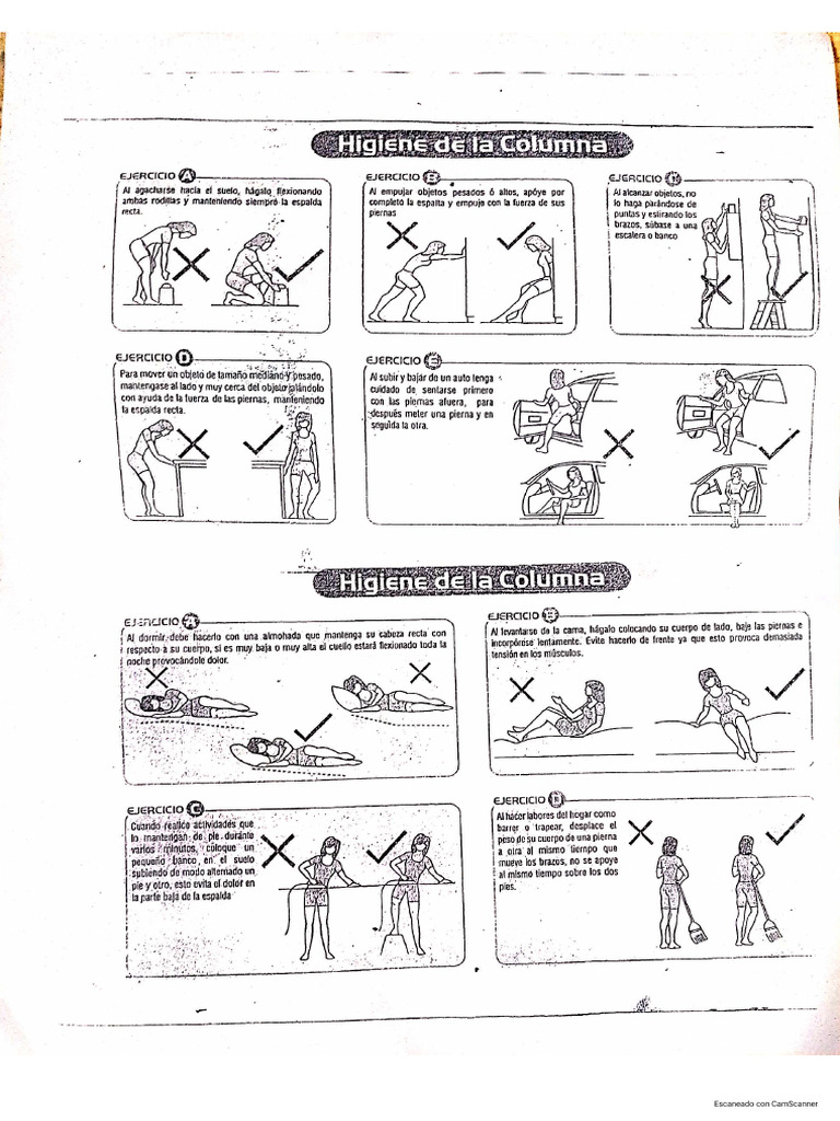 Higiene de La Columna | PDF