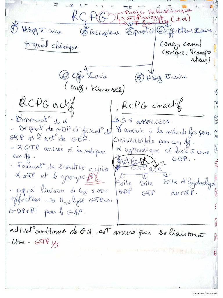 Cours RCPG Module PCM M1 PCP 2019 | PDF